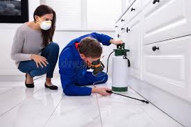 Real Estate Pest Inspections in Fort Polk North, LA